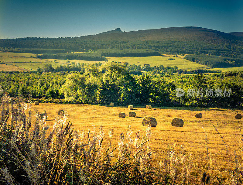 Bennachie Hill Fort下的秋收干草田